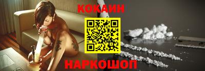 крисы Новокубанск