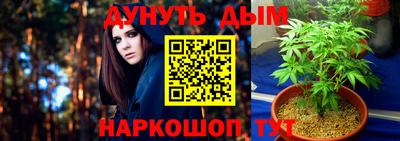 крисы Новокубанск