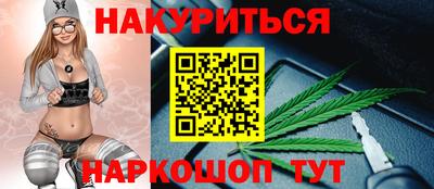 крисы Новокубанск