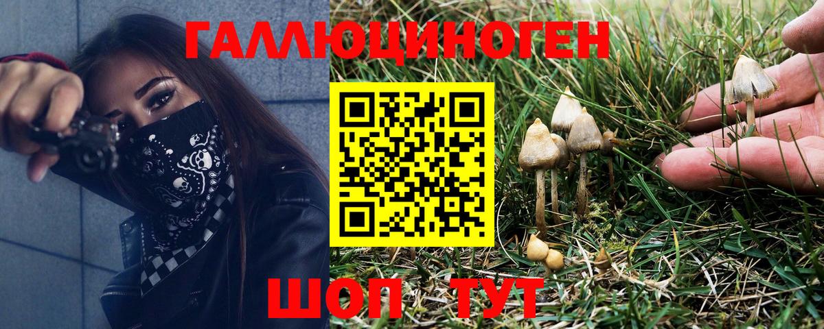 наркошоп  Галлюциногенные грибы Cubensis  Вход с VPN  Усолье-Сибирское 
