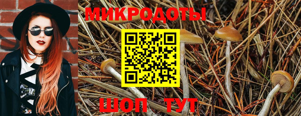 Псилоцибиновые грибы Psilocybine cubensis Усолье-Сибирское